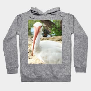 It Is Okay to be a Strange Bird Hoodie